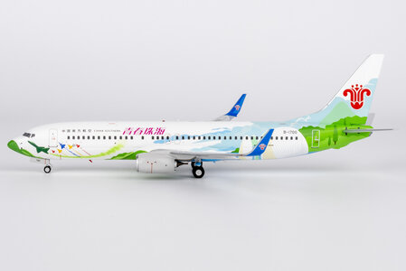 China Southern Airlines Boeing 737-800/w (NG Models 1:200)