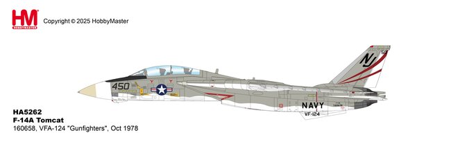 US Navy F-14A Tomcat (Hobby Master 1:72)