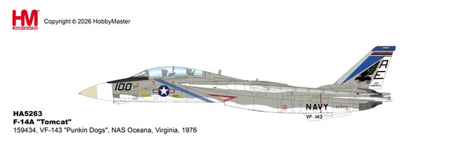 US Navy F-14A Tomcat (Hobby Master 1:72)