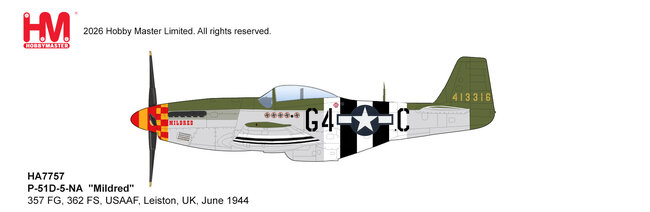 US Army Air Forces P-51D Mustang (Hobby Master 1:72)