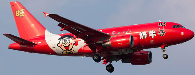 Want Want Airbus ACJ318 (A318-112/CJ) (KJ Models 1:200)