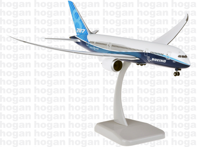 Boeing House Colors Boeing 787-8 (Hogan 1:200)