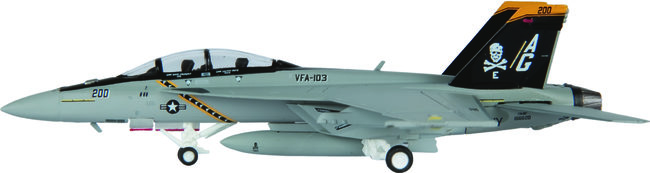 US Navy McDonnell Douglas F/A-18F Hornet (Hogan 1:200)