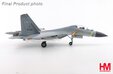 PLAAF Shenyang J-16 Flanker N (Hobby Master 1:72)