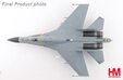 PLAAF Shenyang J-16 Flanker N (Hobby Master 1:72)