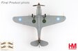 Flying Tigers P-40B Warhawk (Hobby Master 1:72)
