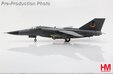 RAAF Royal Australian Air Force - F-111C Aardvark (Hobby Master 1:72)