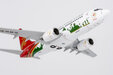 Shenzhen Airlines Boeing 737-700 (NG Models 1:200)