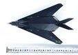 US Air Force F-117A Nighthawk (WLTK 1:72)
