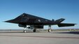 US Air Force F-117A Nighthawk (WLTK 1:72)