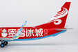 Hainan Airlines Boeing 737-800/w (NG Models 1:200)