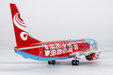 Hainan Airlines Boeing 737-800/w (NG Models 1:200)