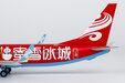 Hainan Airlines Boeing 737-800/w (NG Models 1:200)