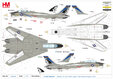 US Navy F-14A Tomcat (Hobby Master 1:72)