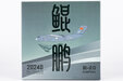 PLA Air Force Xian Y-20A (NG Lite 1:400)