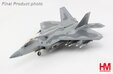US Air Force - F-22 (Hobby Master 1:72)