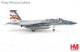 US Air Force F-15C (Hobby Master 1:72)