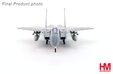 US Air Force F-15C (Hobby Master 1:72)