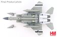 US Air Force F-15C (Hobby Master 1:72)