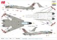 US Navy F-14A Tomcat (Hobby Master 1:72)