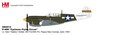 US Army Air Forces - Curtiss P-40N Warhawk (Hobby Master 1:72)