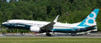 Boeing - Boeing 737-8 MAX (Aviation200 1:200)