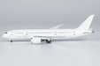 Blank - Boeing 787-8 (NG Models 1:400)